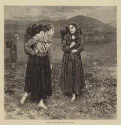 Schizzi irlandesi, trasportatori di torba